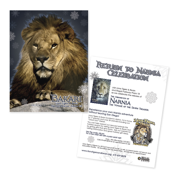 Lions Tigers & Bears Narnia flier